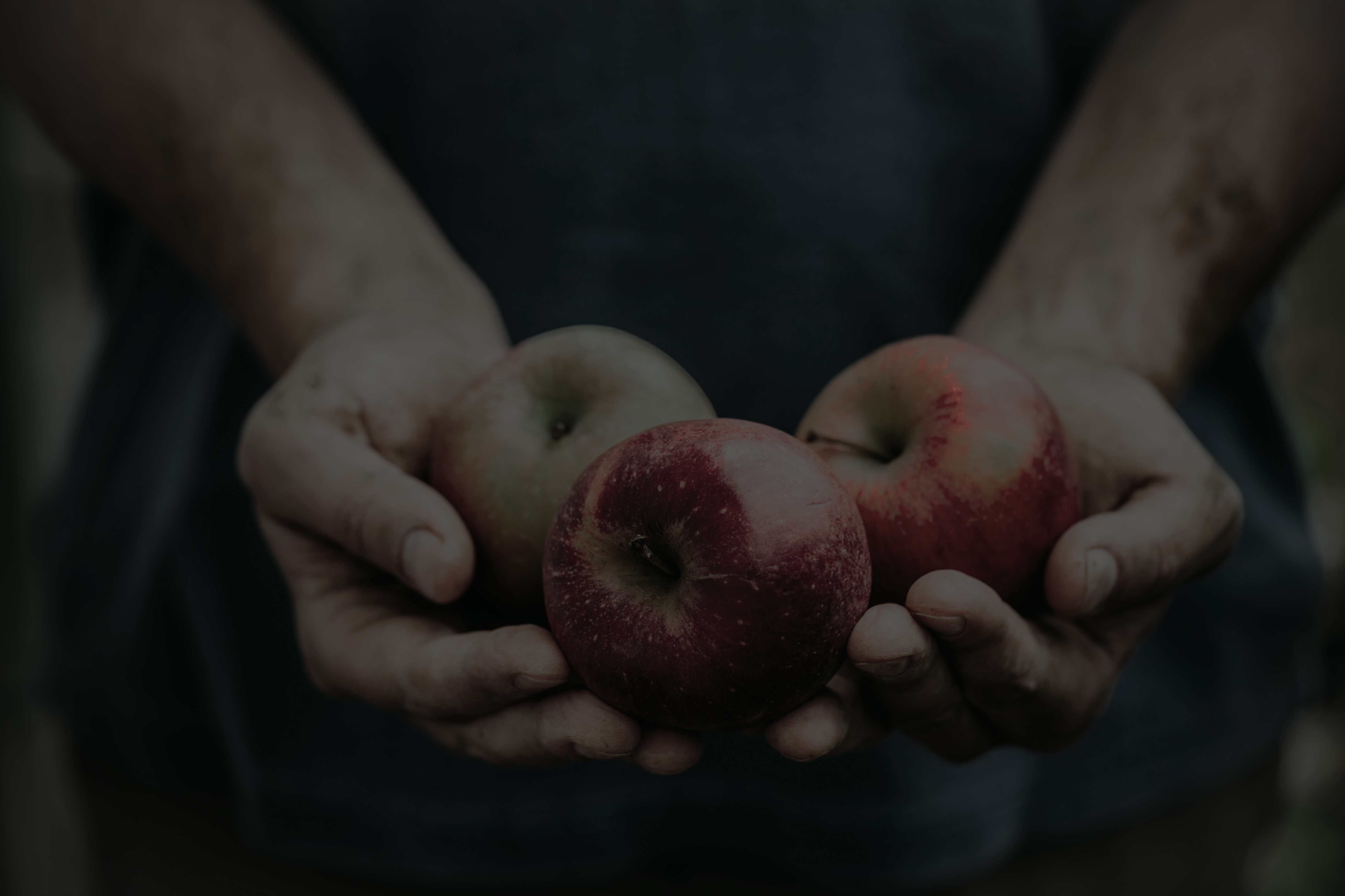 Sunset Stroke Emboss